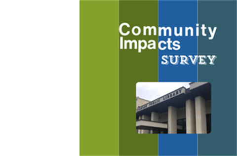 Community impact Survey.png