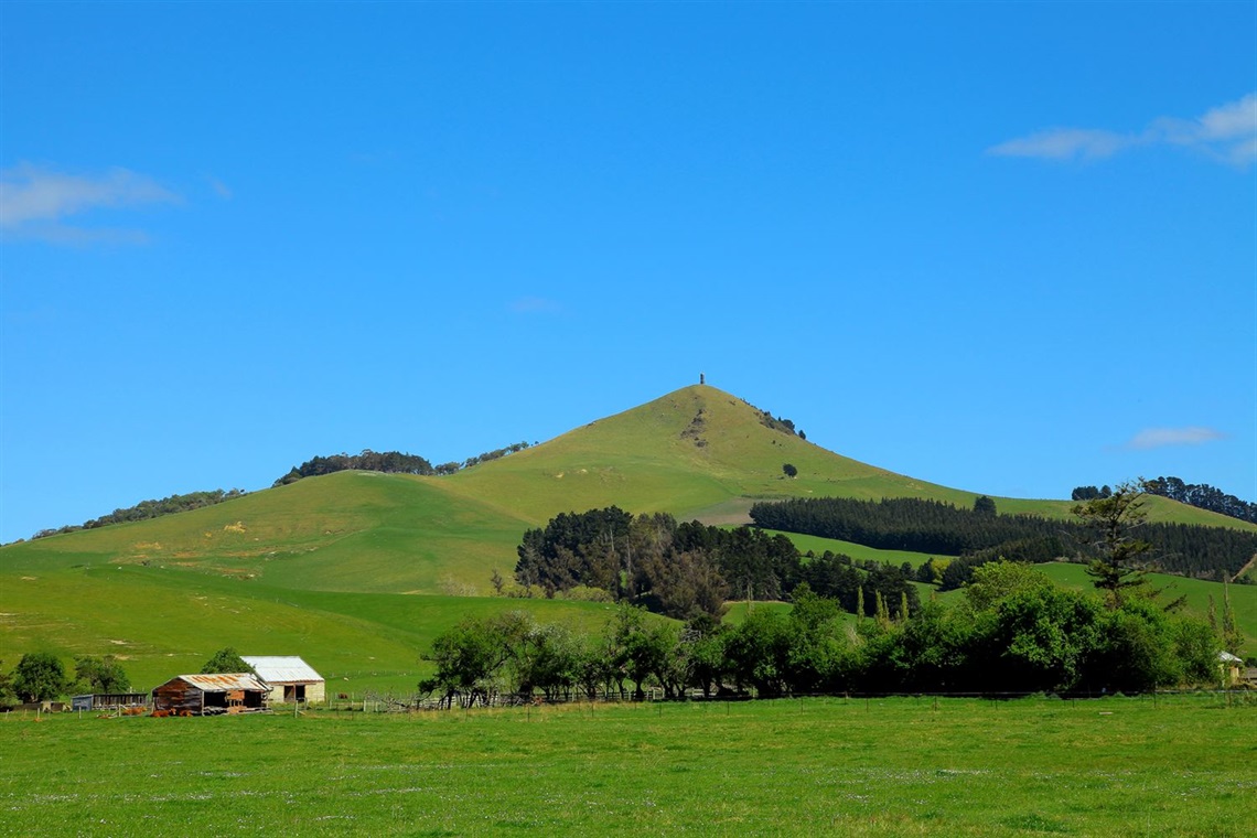 Puketapu1.jpg