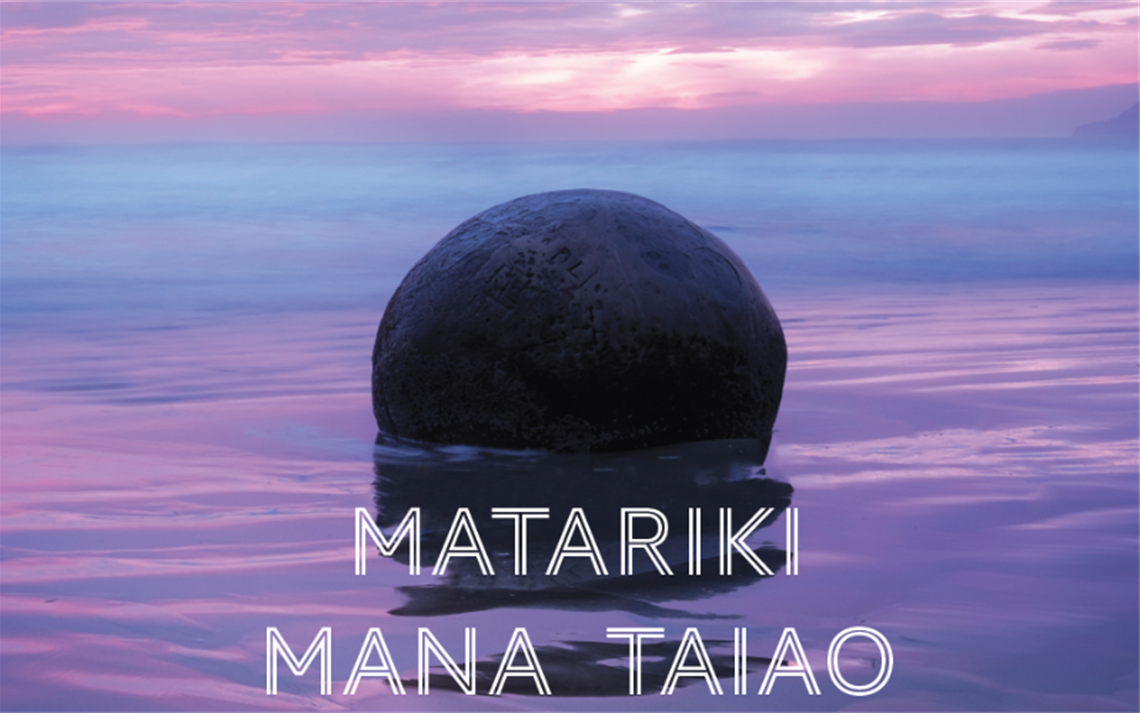 Matariki Mana Taiao poster