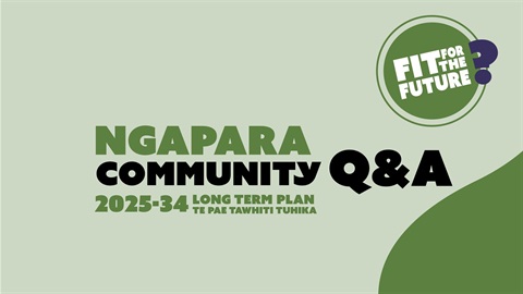 LTP 2025 Q&A Ngapara.jpg