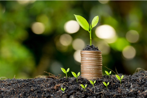 green plants and coins.jpg