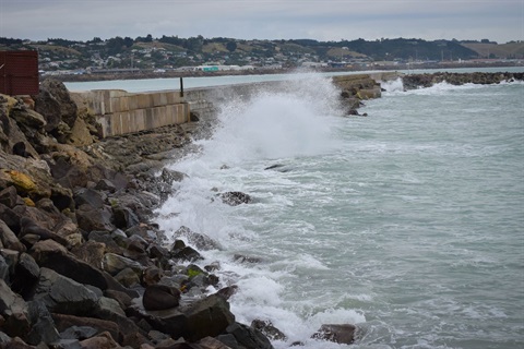 Oamaru Harbour May 2019 Cindy 25.jpg