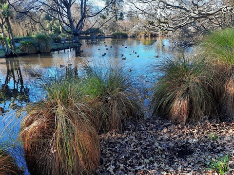 Mirror Pond.jpg